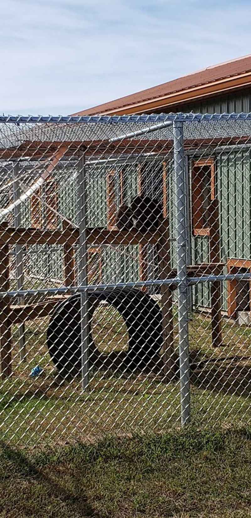 Exploring Thoughtfully Designed Natural Enclosures