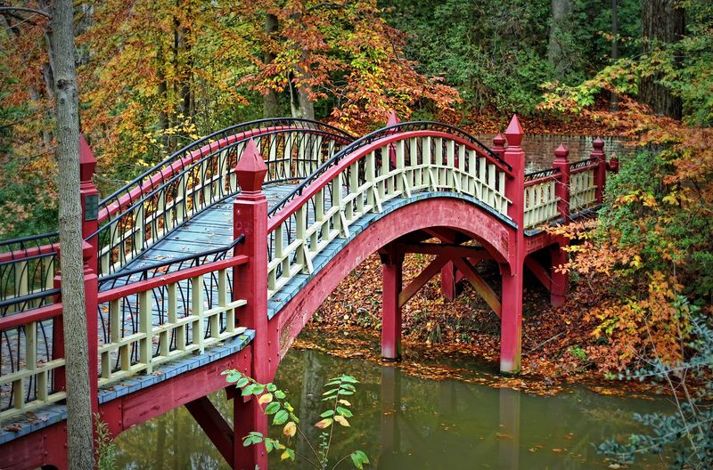 The Legend That Started It All