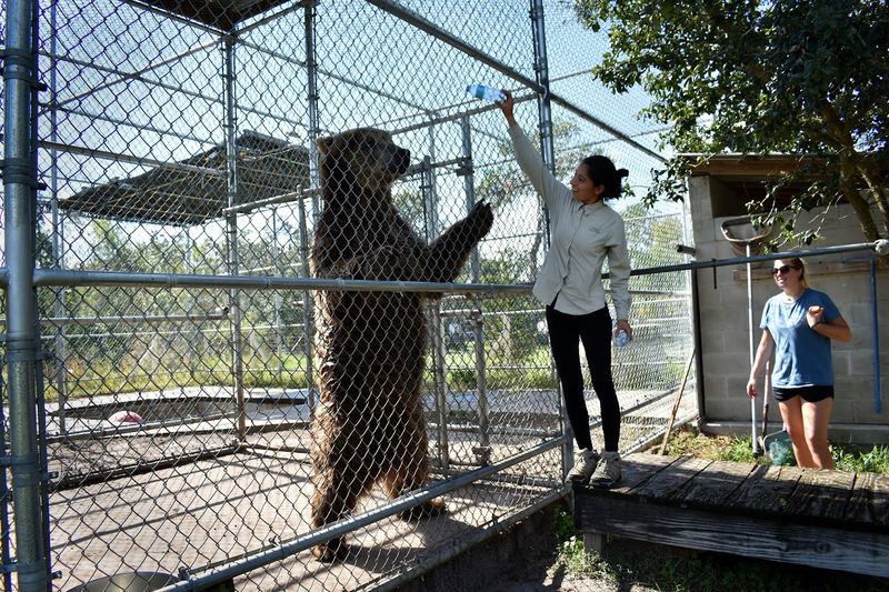 Volunteer-Powered: The People Behind the Mission