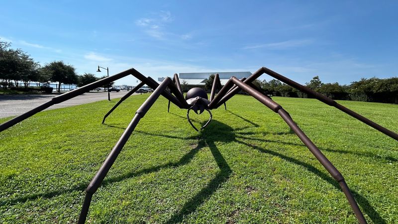 One Last Mystery Before Leaving The Woods