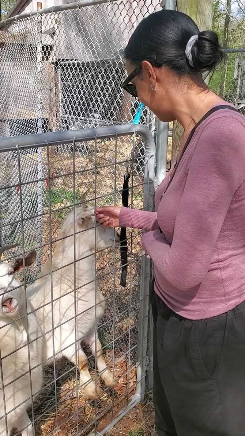 Open House Sundays: Your Chance to Visit and Connect