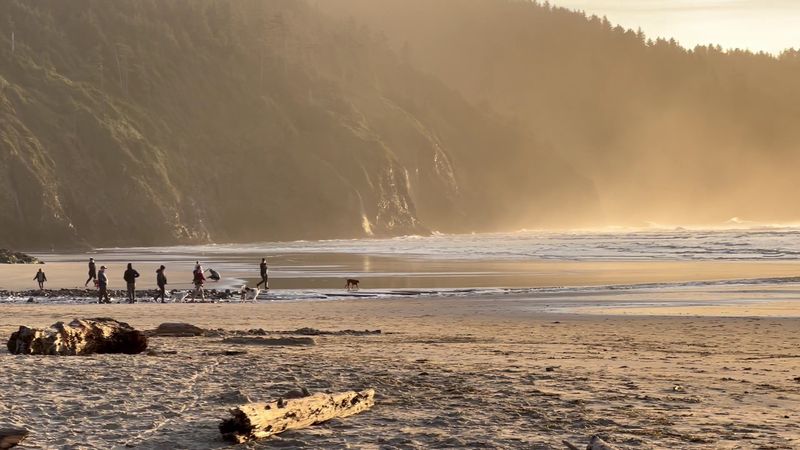 Cape Lookout State Park Beach, Tillamook, Oregon