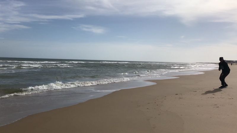 Dolphin Watching That Happens Without Trying