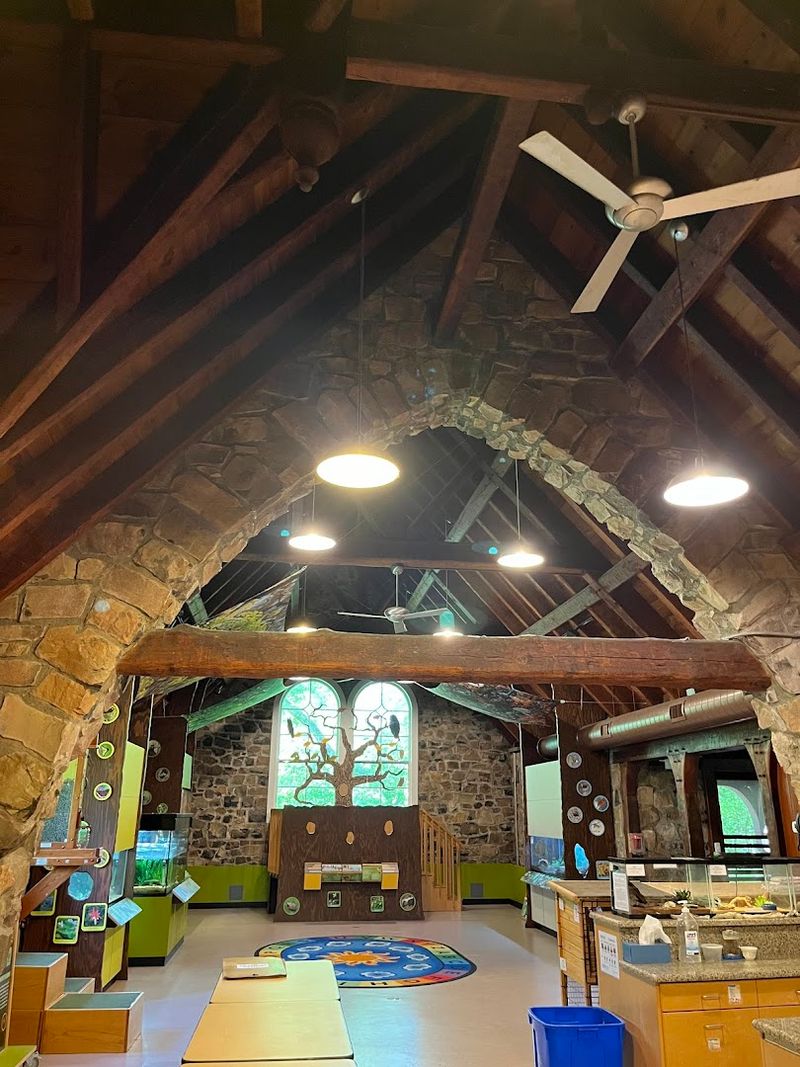 Educational Programs for Every Age Group