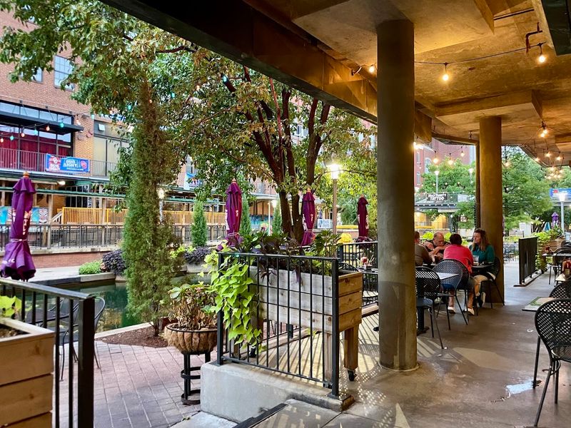 The Dog-Friendly Patio Is a Genuine Crowd-Pleaser