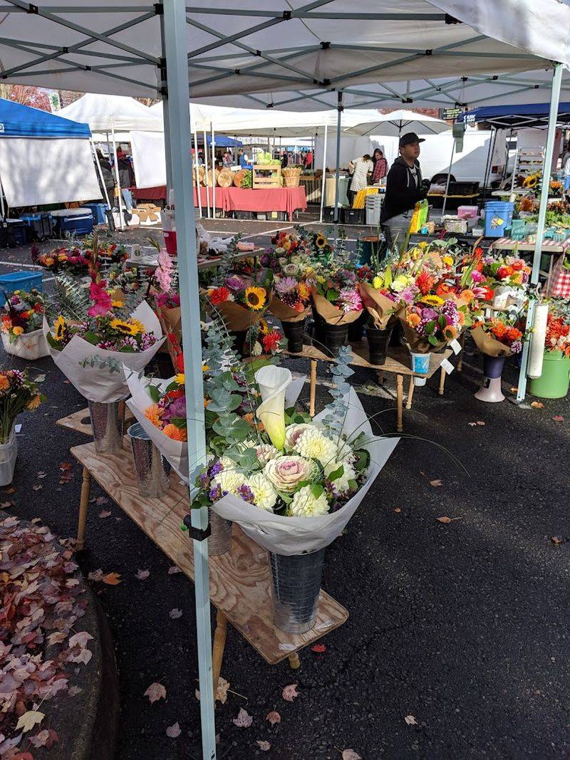 Flowers and Plants That Brighten Any Home