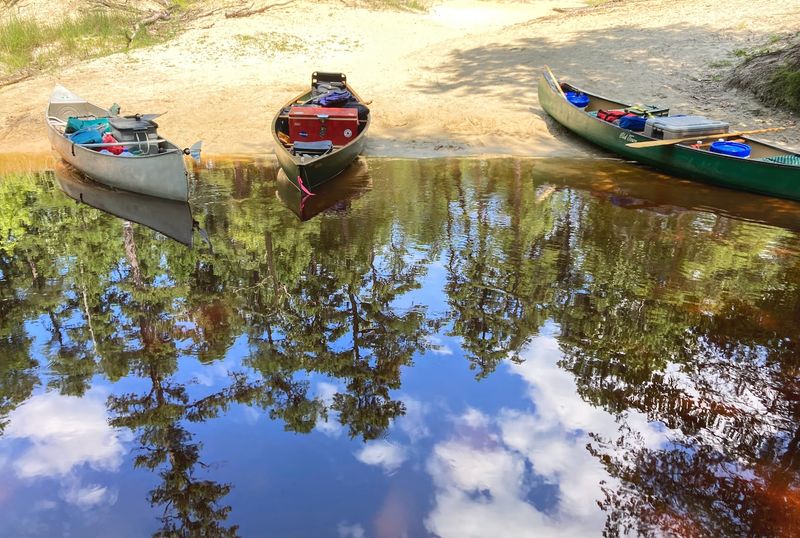 Mullica River: Paddling Through the Pines