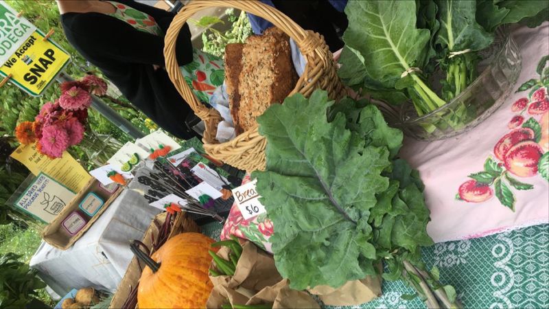 A Community Hub That Feels Like a Neighborhood Secret