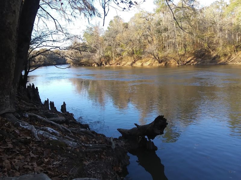 Nature Without the Hype