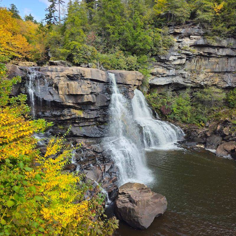 Fall Foliage Season: When the Park Becomes Pure Gold