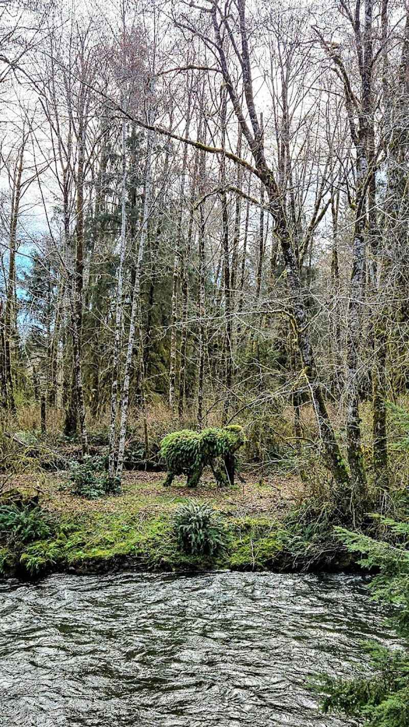 A Small Trail and Stream Worth Exploring