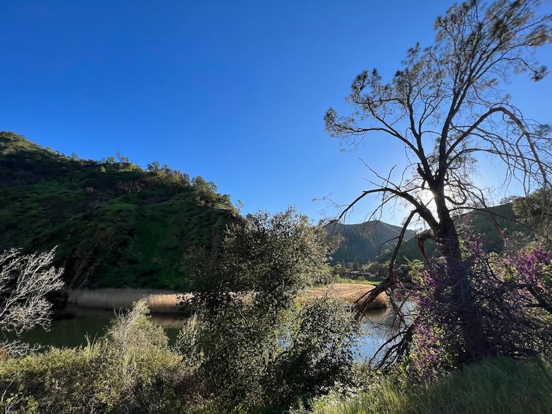 Drought Years Expose The Town's Remains
