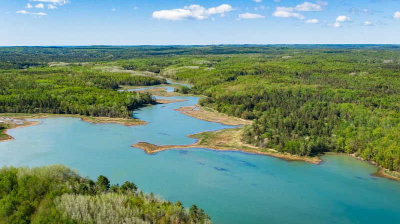 Cobscook Shores and Hamilton Cove