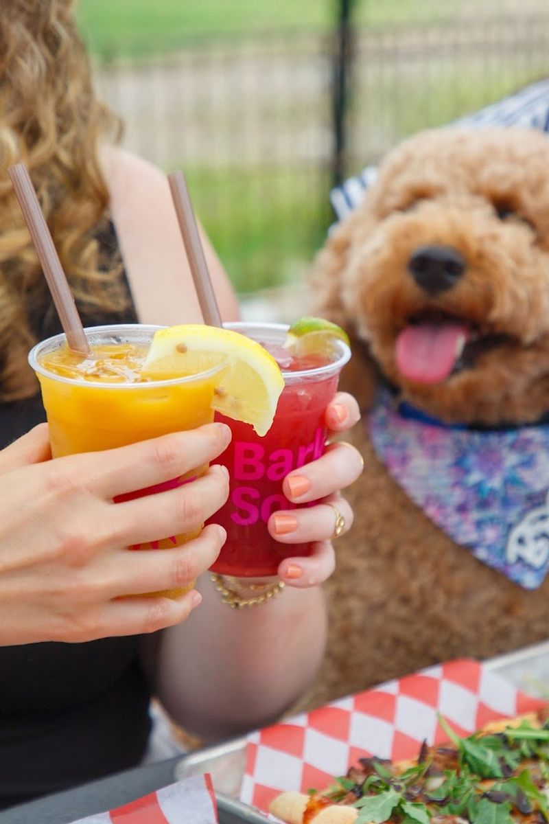 Treats for Your Dog That Are Actually Safe and Delicious