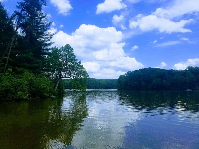 Fairy Stone State Park: Crystals, Legends, and Surprisingly Dark Skies