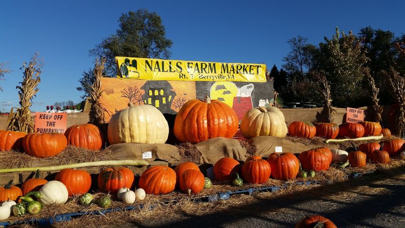 Clarke County History That Goes Surprisingly Deep