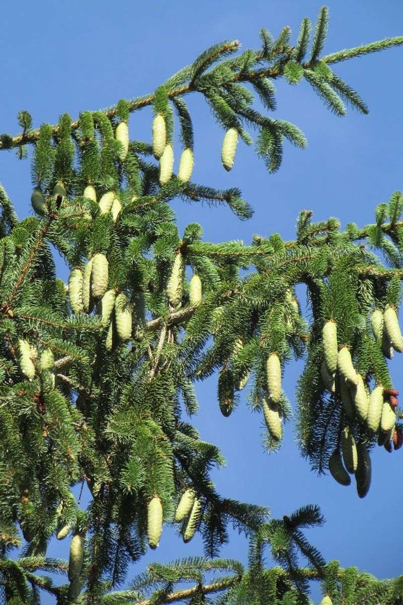 Educational Programs That Actually Stick