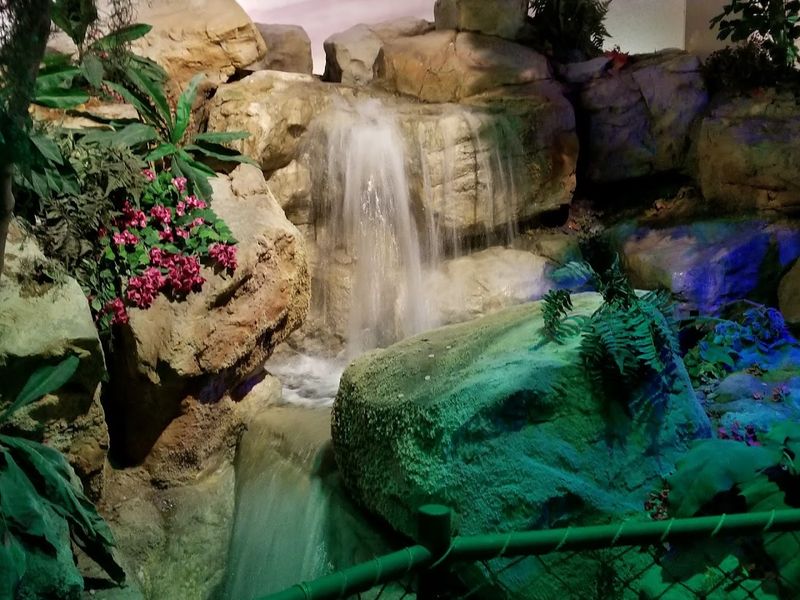 Alligators and Freshwater Surprises