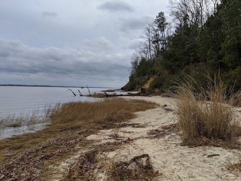 Fossil Frenzy Hikes: The Park's Signature Educational Experience