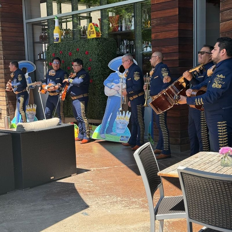 Cafe Herrera on Lamar, Texas