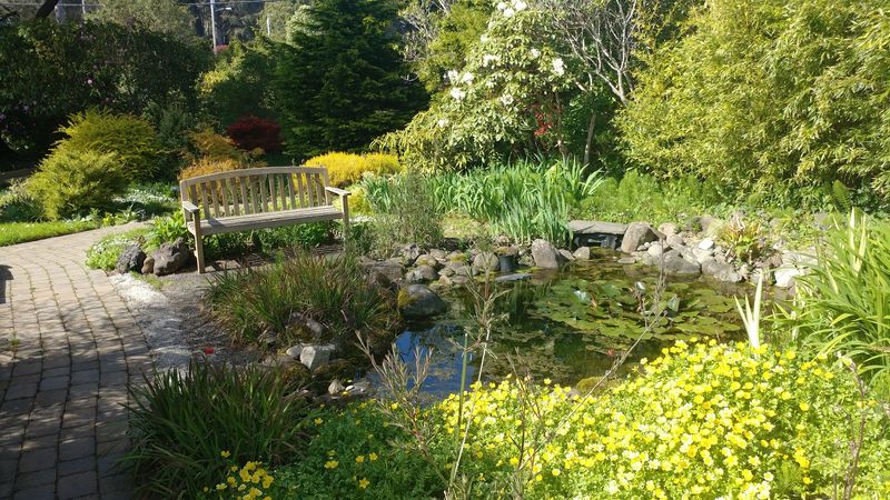 Benches, Stillness, and the Art of Doing Nothing