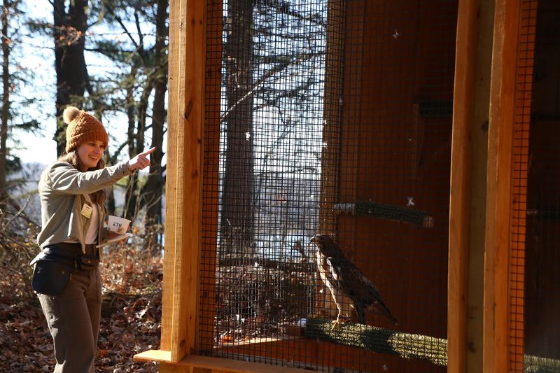 Witness The Rehabilitation Process That Saves Indiana Wildlife