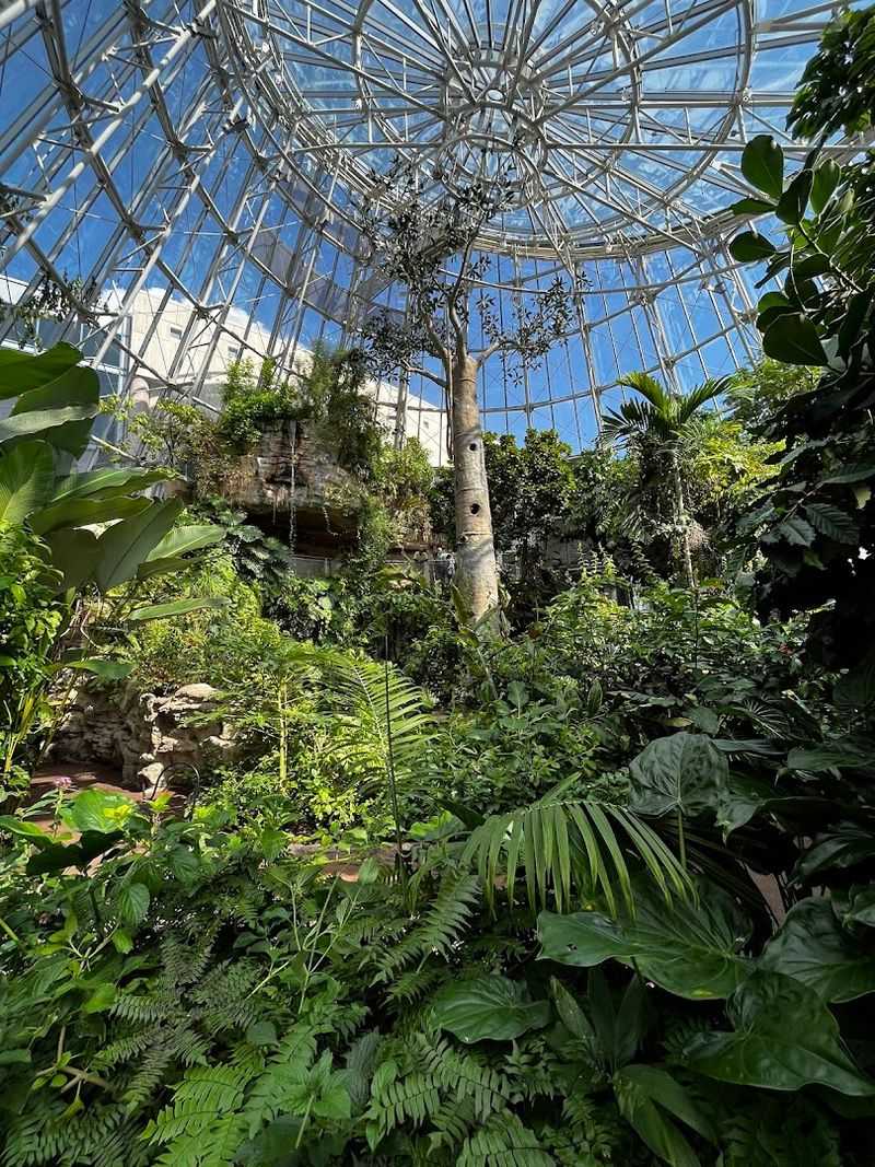 Hermann Park: The Perfect Before or After Destination