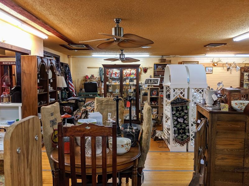 Coins and Currency for the Detail-Oriented Collector