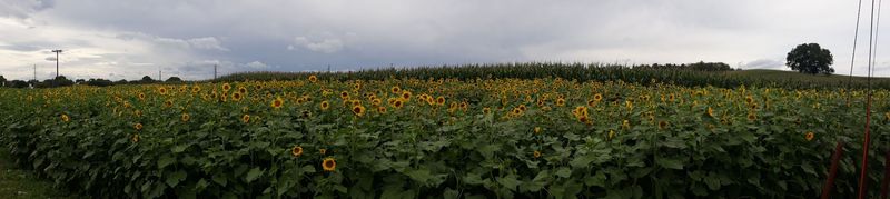 The Natural Beauty of the Shenandoah Valley Surrounding Dayton