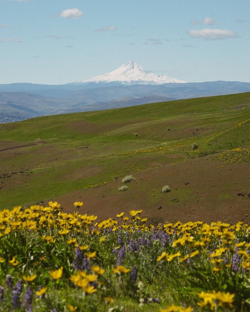 Columbia Hills State Park, Dallesport, Columbia River Gorge, Washington side