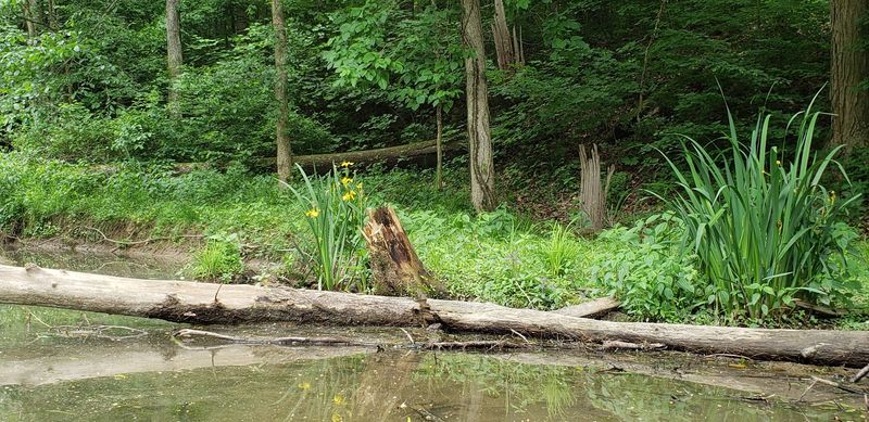 Abundant Wildlife and Bird Watching Opportunities