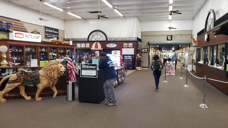 Planning Your Visit To Make The Most Of Every Single Minute Here