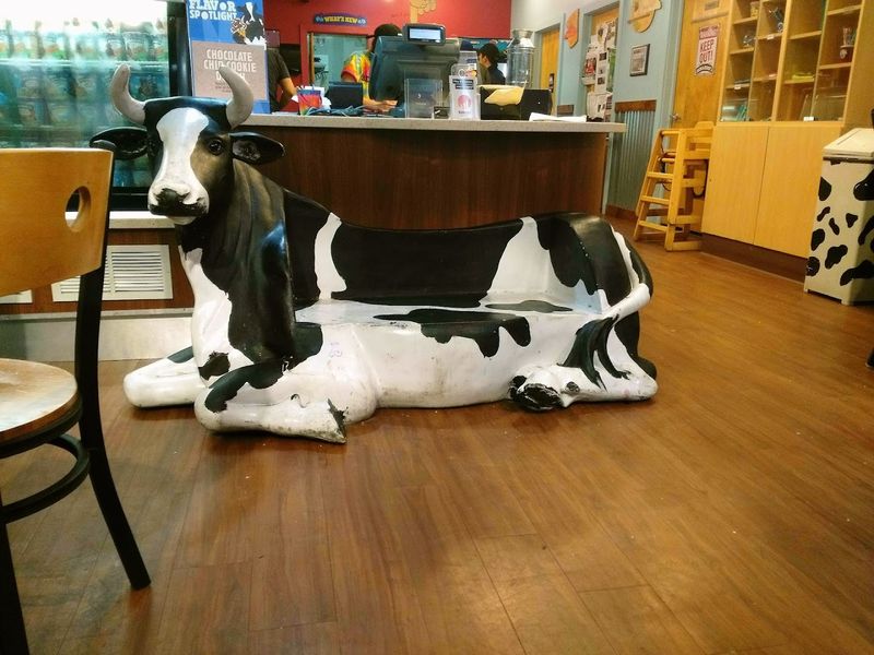 The Cozy Shop Atmosphere That Pulls You In