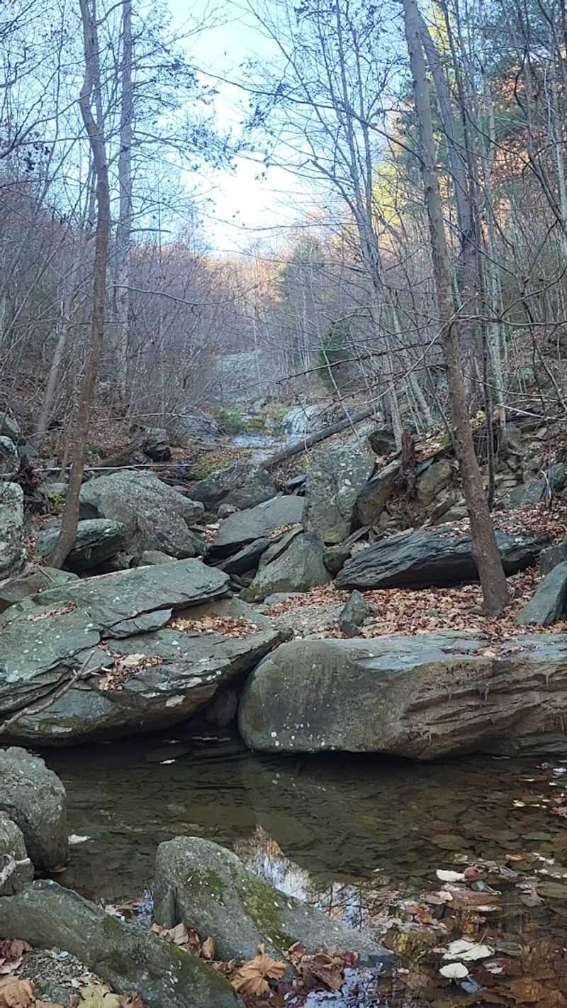 North Fork Moorman's River Trail, Crozet