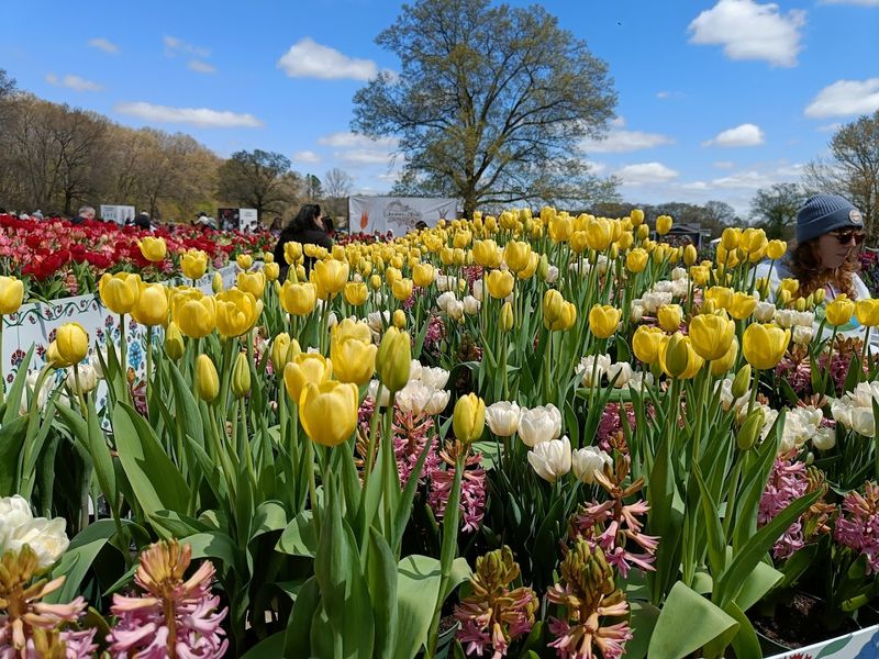 Colorful Rows Make Every Walk Better