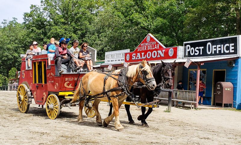 Petting Zoo and Pony Rides for the Youngest Cowboys Petting Zoo and Pony Rides for the Youngest Cowboys