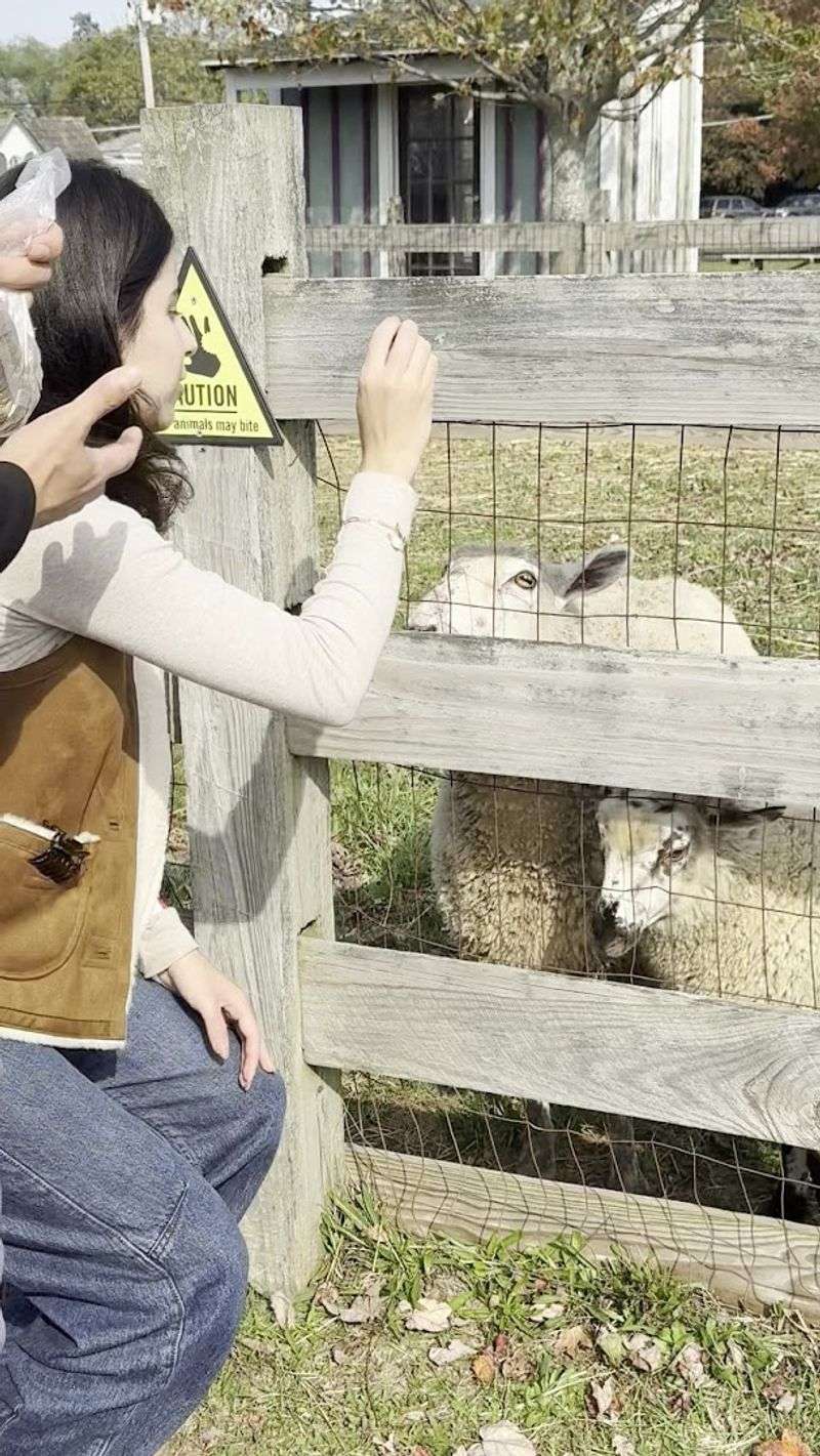 The Barnyard Keeps Kids Fully Engaged