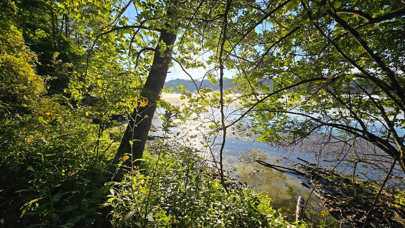 Birdwatching and Wildlife Along Brookville Reservoir