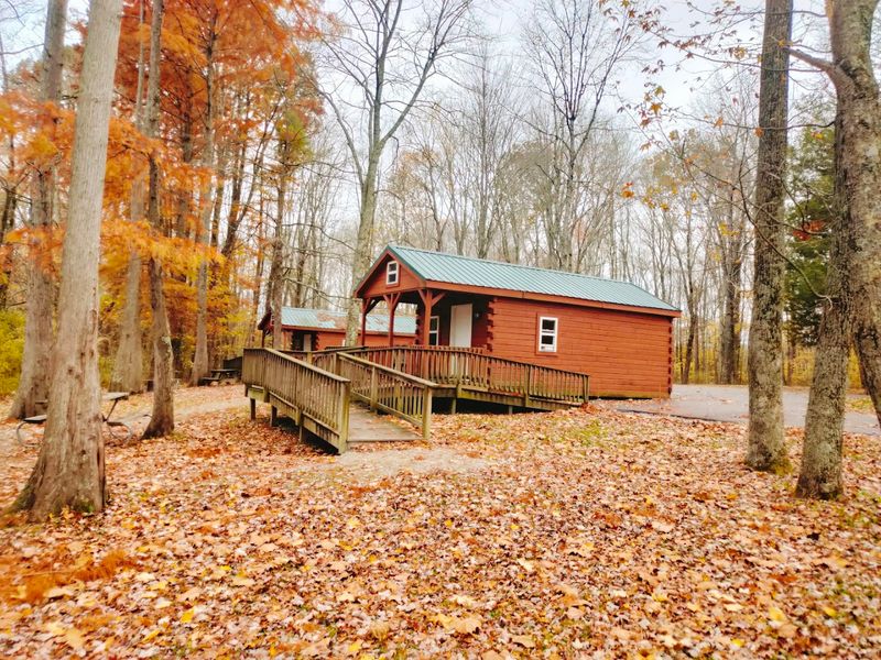 Rent-A-Camp Cabins That Make Outdoor Comfort Feel Effortless