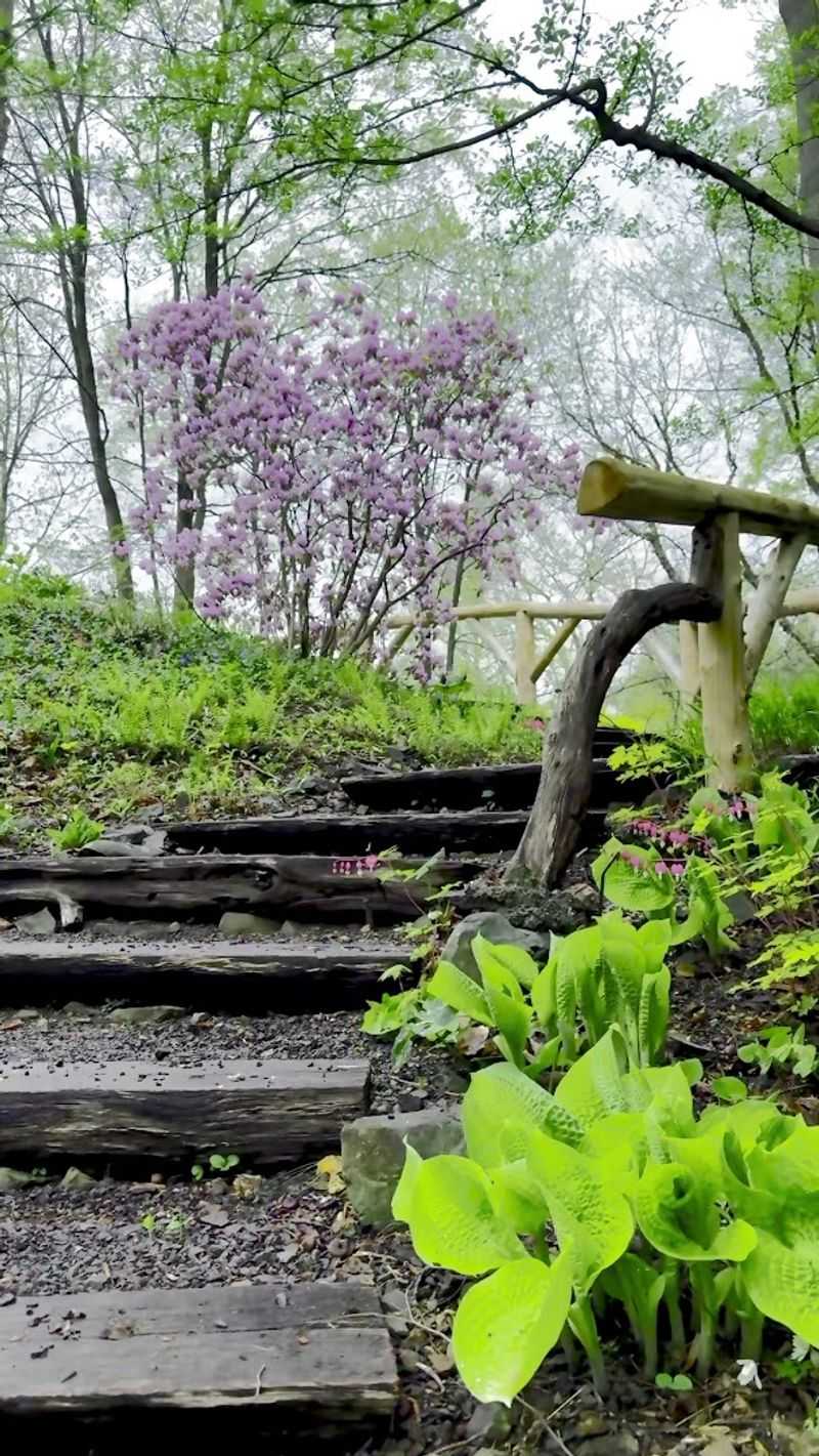 Woodland Trails That Actually Feel Like an Adventure