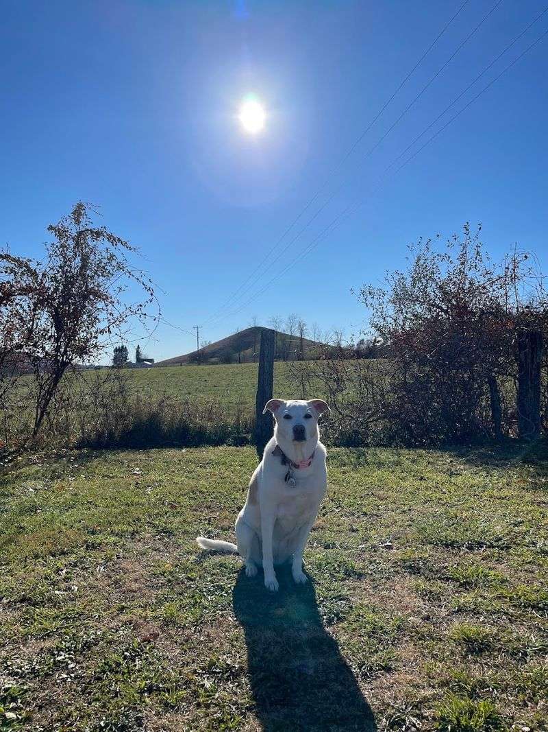 The Science of Hydrovolcanism at This Quiet Virginia Site