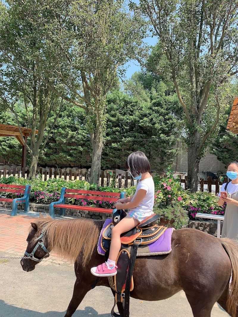 Pony Rides And Train Rides Keep Things Moving