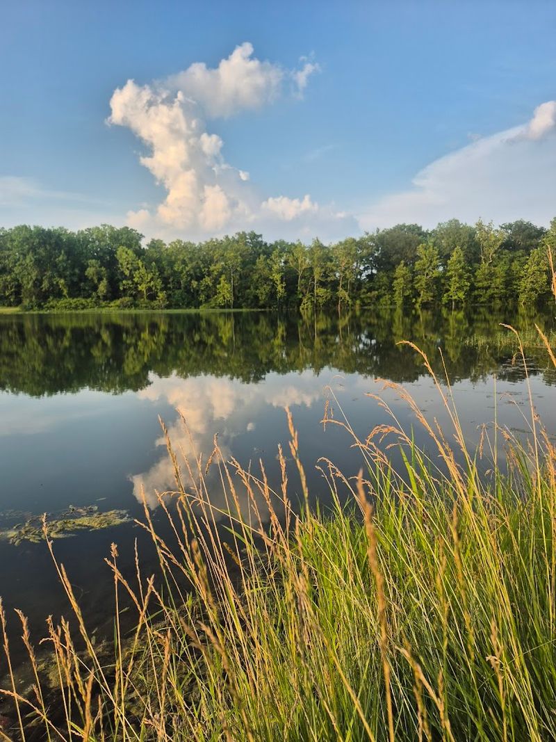 Scenic Natural Beauty That Makes the Walk Worth It on Its Own