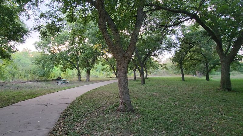 Picnic Spots That Actually Deliver Shade