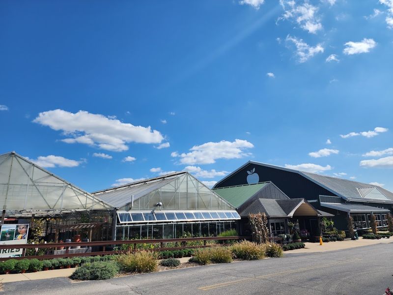 A Belleville Favorite With Plenty To Browse