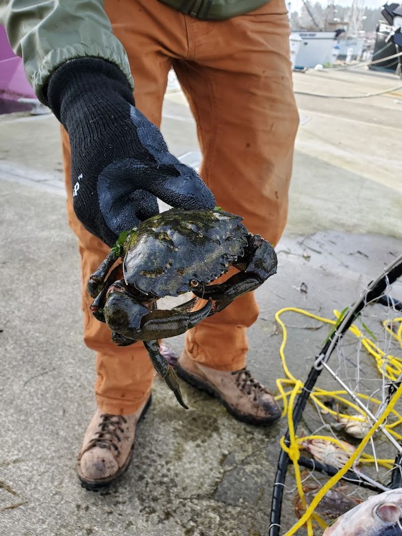 Gear Rental For Those Who Want To Catch Their Own