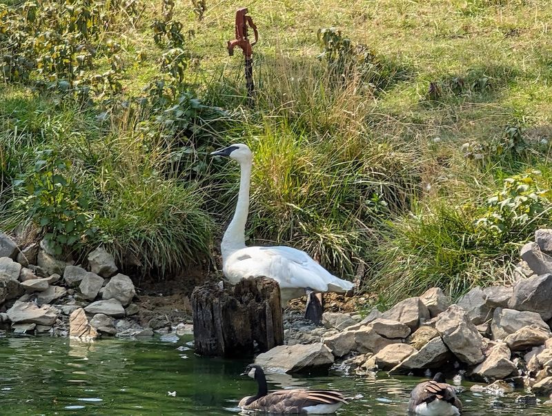The Zoo Barn Brings More Up-Close Fun