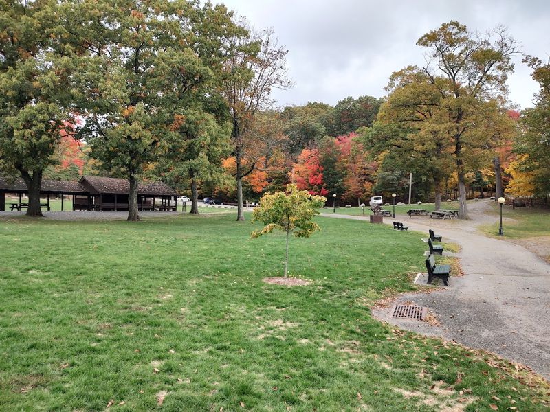 Picnic Culture Done Right