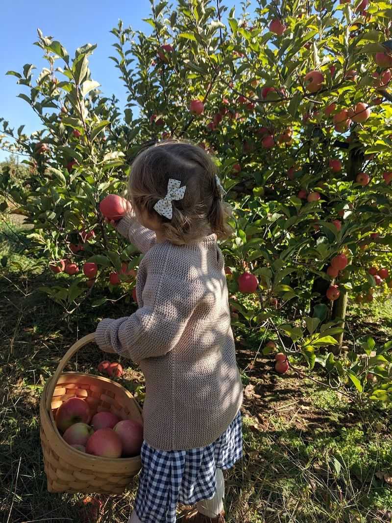 Pick-Your-Own Fun That Feels Genuinely Relaxed