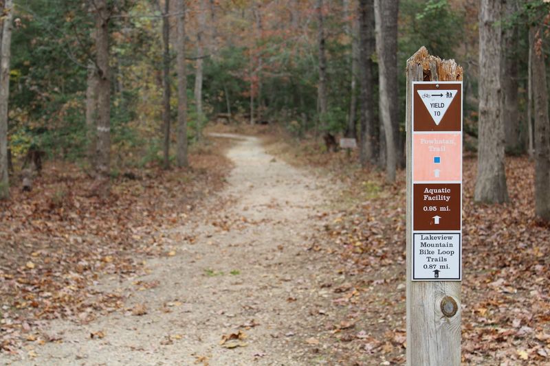 Lakeview Mountain Bike Trails: Scenic Flow Along Swift Creek Lake